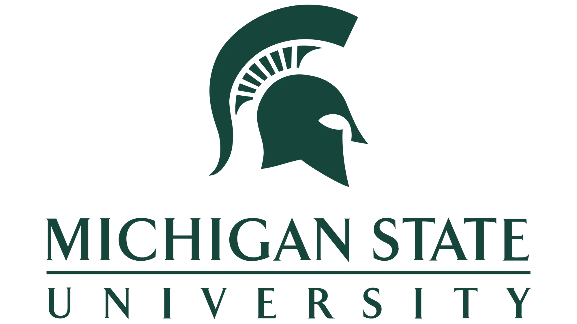 Michigan State University